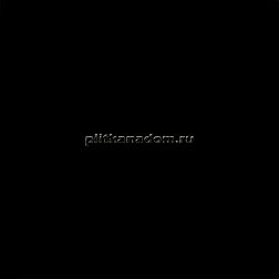 Vives Monocolor Negro Напольная плитка 20x20 см