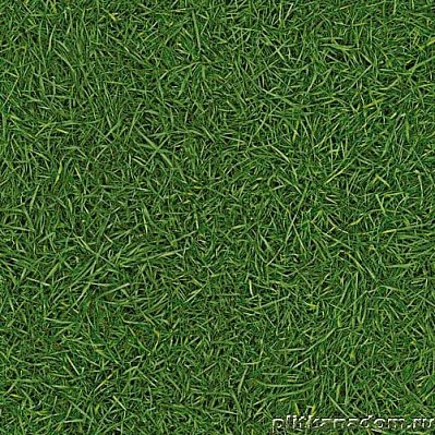 Leoline Neo Grass 25 Линолеум 4 м