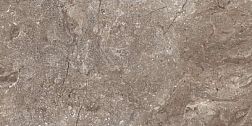 Lеopard 6405 Stone Grey Polished Керамогранит 60х120 см