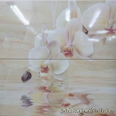 Aranda Onice Orchid Set2 Dеcor Панно 50х50 (2 плитки)