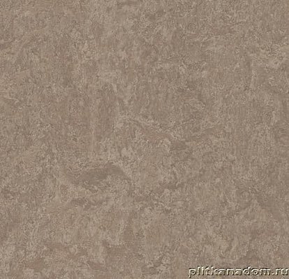 Forbo Marmoleum Decibel 324635 shrike Линолеум натуральный 3,5 мм