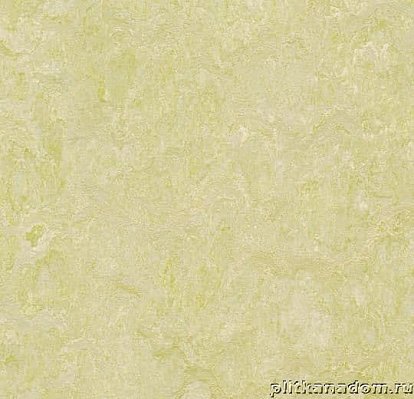 Forbo Marmoleum Fresco 3881 green wellness Линолеум натуральный 2 мм