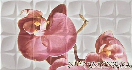 Rocersa Glamour Dec. Orchid C Blanco BLN Декор 31,6x59,34