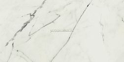 Caesar Anima Statuario Venato Matt Белый Матовый Керамогранит 60х120 см