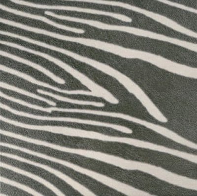 Cifre Animals Zebra Керамогранит 45x45