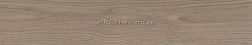 Kerama Marazzi Альберони SG643820R-5 Коричневый светлый Матовый обрезной Подступенок 10,7x60 см