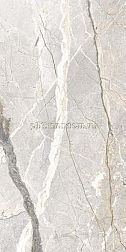 Flaviker Supreme Hedonism Silver Roots Nat. Rett. Керамогранит 60х120 см