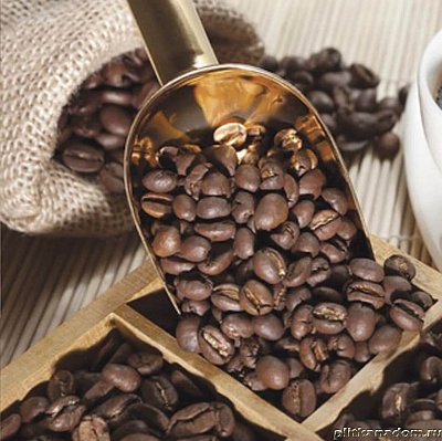 Mosplitka Latte Вставка Кофейные зерна 10х10