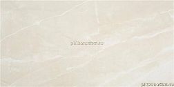 Stylnul (STN Ceramica) Tango Marfil Satin Rect Бежевый Сатинированный Керамогранит 59,5x120 см