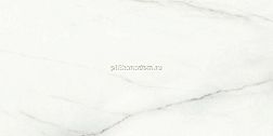 Laparet Voyage SG50002322R Blanco Белый Полированный Керамогранит 59,5х119,1 см