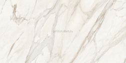 Polo Gres Marble Calacatta Gold Белый Глянцевый Керамогранит 60х120 см