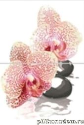 Пиастрелла Бали 5 15-005-п Орхидея бежевая Панно 40х30 (из 2-х плиток) см