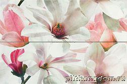 Myr Dream Dec.827 Coral Set.2 Декор 40x60 см
