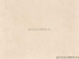 Rako Delta WATKB146 Wall tile Настенная плитка 25x33 см