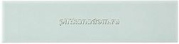Adex Studio ADST1055 Liso Fern Зеленая Глянцевая Настенная плитка 4,9х19,8 см