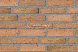 Randers Tegl Classica Nordsee Handstrichziegel RT 433 DNF Кирпич ручной формовки 22,8х2х5,4 см