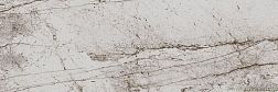 Eurotile Passion 802 Light Серая Глянцевая Настенная плитка 29,5х89,5 см