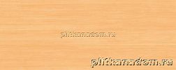 Cerrol Imperia Flora Orange Настенная плитка 20x50 см