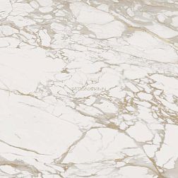 Porcelanosa Massa Brillo Бежевый Глянцевый Керамогранит 59,6x59,6 см