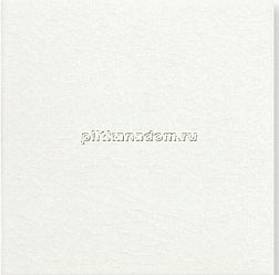 Adex Modernista ADMO1015 Liso PB C-C Blanco Настенная плитка плоская 15х15 см
