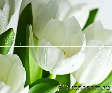 Polcolorit Arco Digital Tulipany Панно (из 2-х штук) 50x60