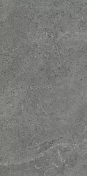 Paradyz Authority Graphite Террасная плита 2.0 Str. Серый Матовый Керамогранит 59,5х119,5 см