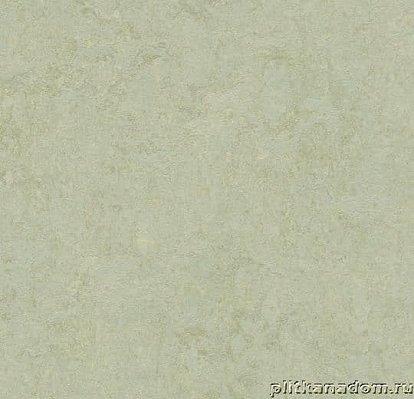 Forbo Marmoleum Fresco 3884 frost Линолеум натуральный 2,5 мм