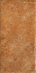 Serenissima Cir Cotto Del Campiano Cotto Dorato Керамогранит 20x40 см