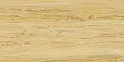 Kerranova Alleya K-2101-SR Honey Бежевый Rett. Керамогранит 60x120 см