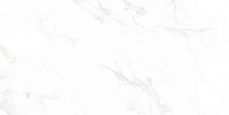Neodom Splendida Venus Bianco Polished Керамогранит 60x120 см