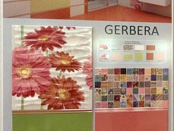 Gerbera