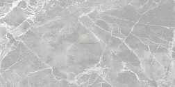 Global Tile Pride Серый Матовый Керамогранит 30x60 см