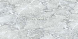 Sina 2740 Davinci Light Gray Серый Полированный Керамогранит 60x120 см