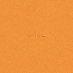 Bardelli Colore&Colore С2 Настенная плитка 20x20 см