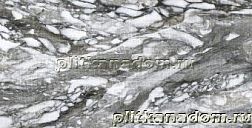 Roberto Cavalli Lush Calacatta Renior Animalier Lapp Серый Лаппатированный Керамогранит 59,4x119 см