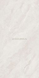 Basconi Home Precious Stone Polished (sinking ink) Бежевый Полированный Керамогранит 60x120 см