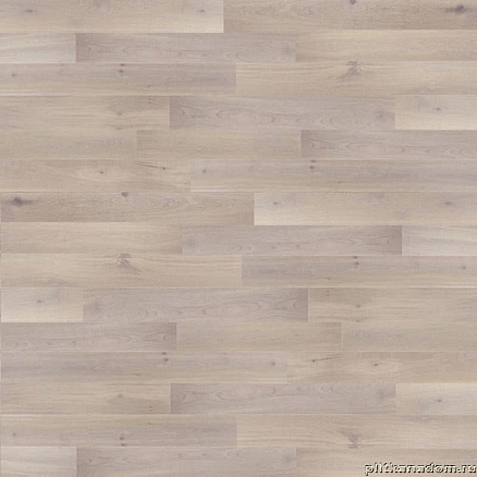 Decor Line