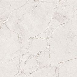 Flavour Granito Mural Grey Glossy Серый Полированный Керамогранит 60x60 см