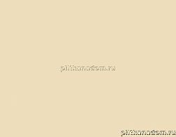 Rako Concept Plus WAAKB008 Wall tile Настенная плитка 25x33 см