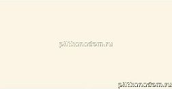 Rako Concept Plus WAAMB007 Wall tile Настенная плитка 20x40 см