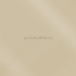 Керамика будущего(CF Systems) Моноколор CF 00 Аворио Ступень полированная 60х30 см