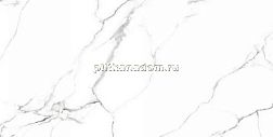 Neodom Splendida Mckinley Polished Керамогранит 60x120 см