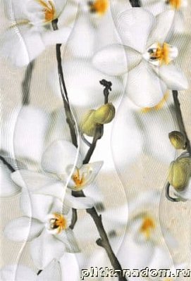 Керамин Энигма 3 Тип 2 Мелкий цветок Настенная плитка 27,5х40