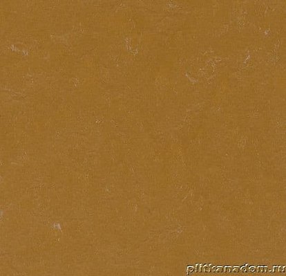 Forbo Marmoleum Unexpected Nature Glistening ochre 3564 Линолеум натуральный 2,5 мм