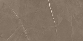 Marjan Tile Stone 8100 Pietra Active Gray Керамогранит 60х120 см