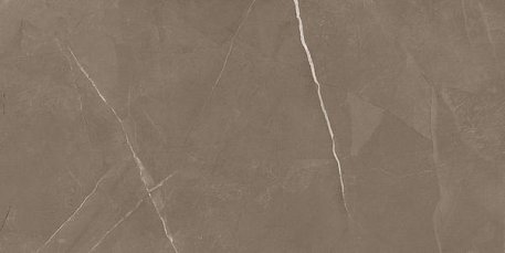 Marjan Tile Stone 8100 Pietra Active Gray Керамогранит 60х120 см