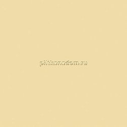 Paradyz Gamma Bezowa Glossy Настенная плитка 19,8х19,8 см