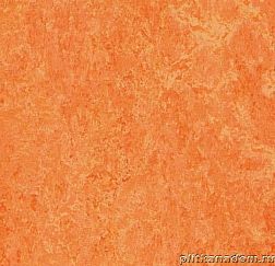 Forbo Marmoleum Real 3241 orange sorbet Линолеум натуральный 2 мм