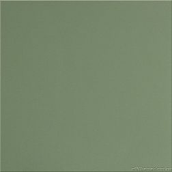 Уральский гранит Керамогранит UF007 (зеленый, моноколор) Полированный 60х60 см