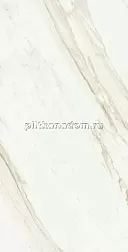 Coliseum Gres Треви Floor Project White Белый Матовый Ректифицированный Керамогранит 45х90 см